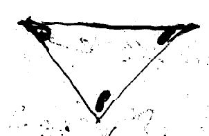 © Bibliothèque Nationale de France