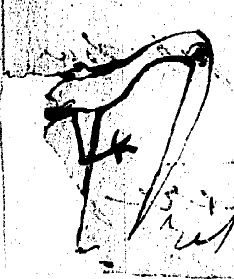 © Bibliothèque Nationale de France