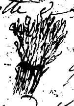 © Bibliothèque Nationale de France