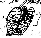 © Bibliothèque Nationale de France