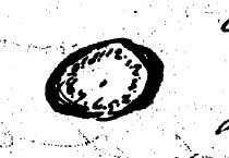 © Bibliothèque Nationale de France