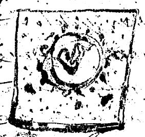 © Bibliothèque Nationale de France